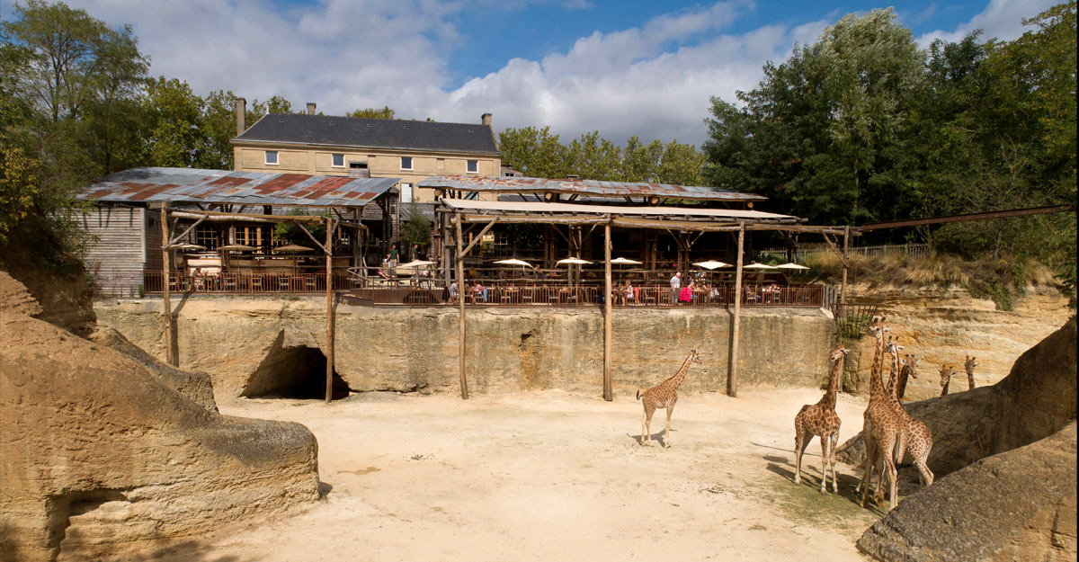 bioparc-parc-zoologique-restaurant-face-girafes