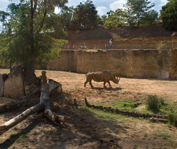 image - La Vallée des rhinocéros
